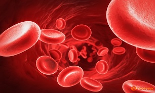 بررسی درمان بیماری های خونی با سلول های بنیادی