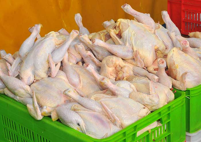 پیش‌بینی افزایش قیمت مرغ در روزهای پایانی نوروز