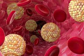 عوامل کاهنده چربی خون را بشناسید