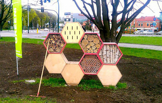 کندوی زنبور در وسط شهر