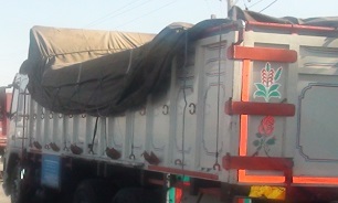 توقیف محموله 30 تنی زیتون قاچاق در شهرستان کنگان