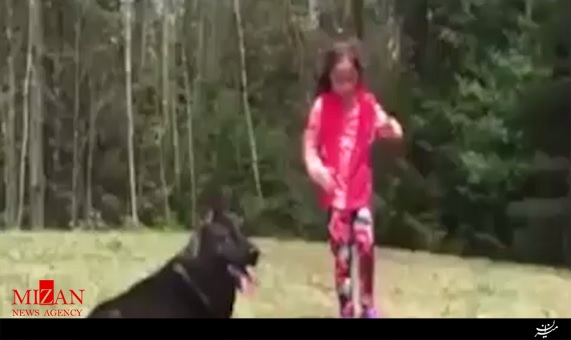 عکس‌العمل دیدنی سگ در محافظت از یک دختربچه 