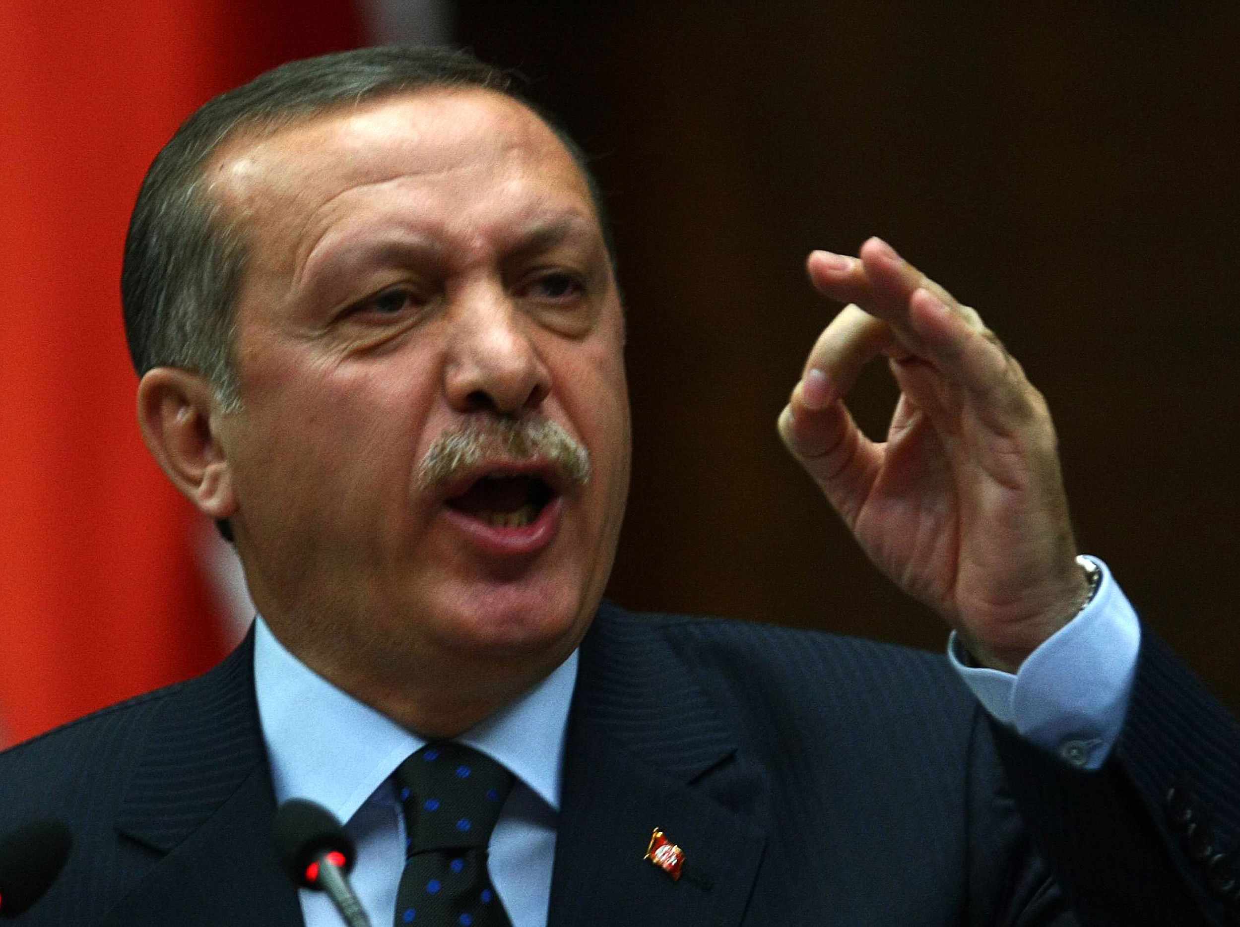 اردوغان: بیش از 30 تن از عناصر 