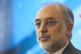 علی اکبر صالحی: ایران و روسیه برای ساخت 2 نیروگاه هسته‎ای در بوشهر به توافق رسیده‎اند