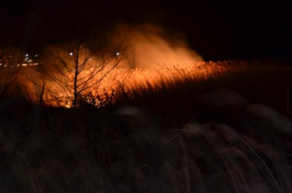 مهار آتش سوزی دو هکتار از پوشش گیاهی در رشت با کمک پلیس