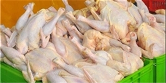 صادرات گوشت مرغ به 