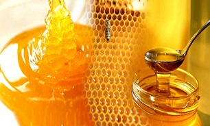 نیش عسل چینی بر زنبورداران ایرانی/ نابودی صنعت زنبورداری با عسل‌های تقلبی