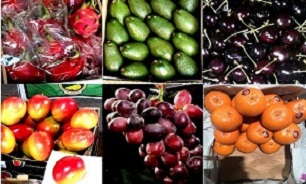 میوه‌های ممنوعه خارجی به شهرستان‌ها منتقل شدند
