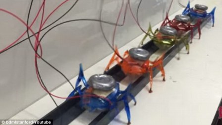 ربات های مورچه ای با قابلیت جابجایی خودرو