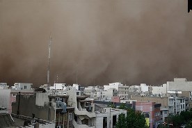 مصدومی در طوفان عصر امروز تهران نداشتیم/ پارگی سیم برق و شکسته شدن درختان