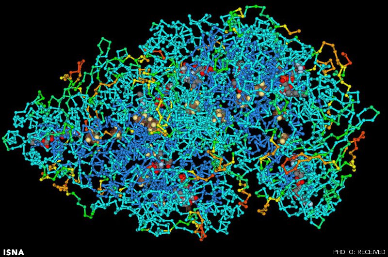 تولید ابر مولکولی که ویروس‌های مرگبار را از بین می‌برد