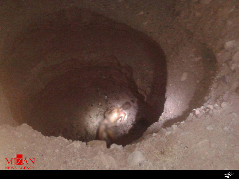 سرنوشت شوم دو شکارچی کبوتر چاهی در علفزار/ مرگ هولناک شکارچی داخل چاه