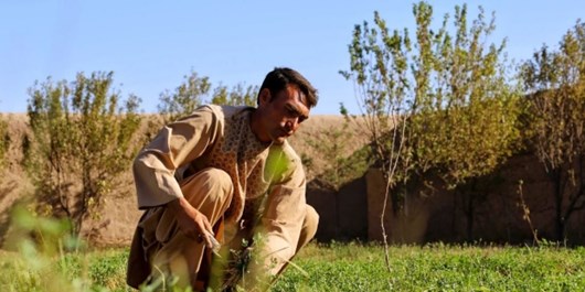 بانک جهانی: سرمایه گذاری در منابع انسانی و کشاورزی راه توسعه 