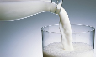 برای خرید شیر مدارس چانه نزنید/ کیفیت شیر قابل تغییر است