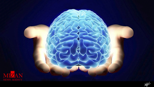 اطلاعات مفید و جالب در مورد مغز انسان + فیلم