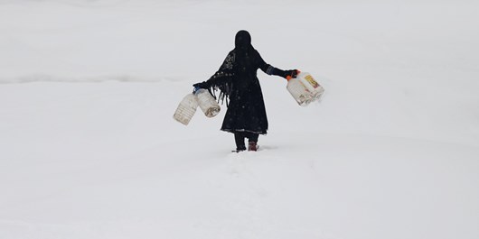طالبان: در بارش سنگین برف 