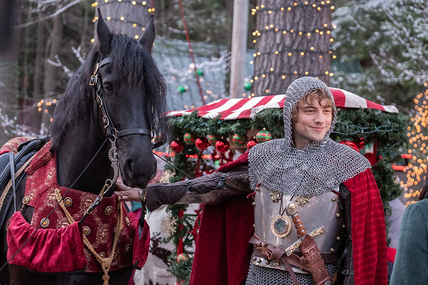 Josh Whitehouse in The Knight Before Christmas (2019)