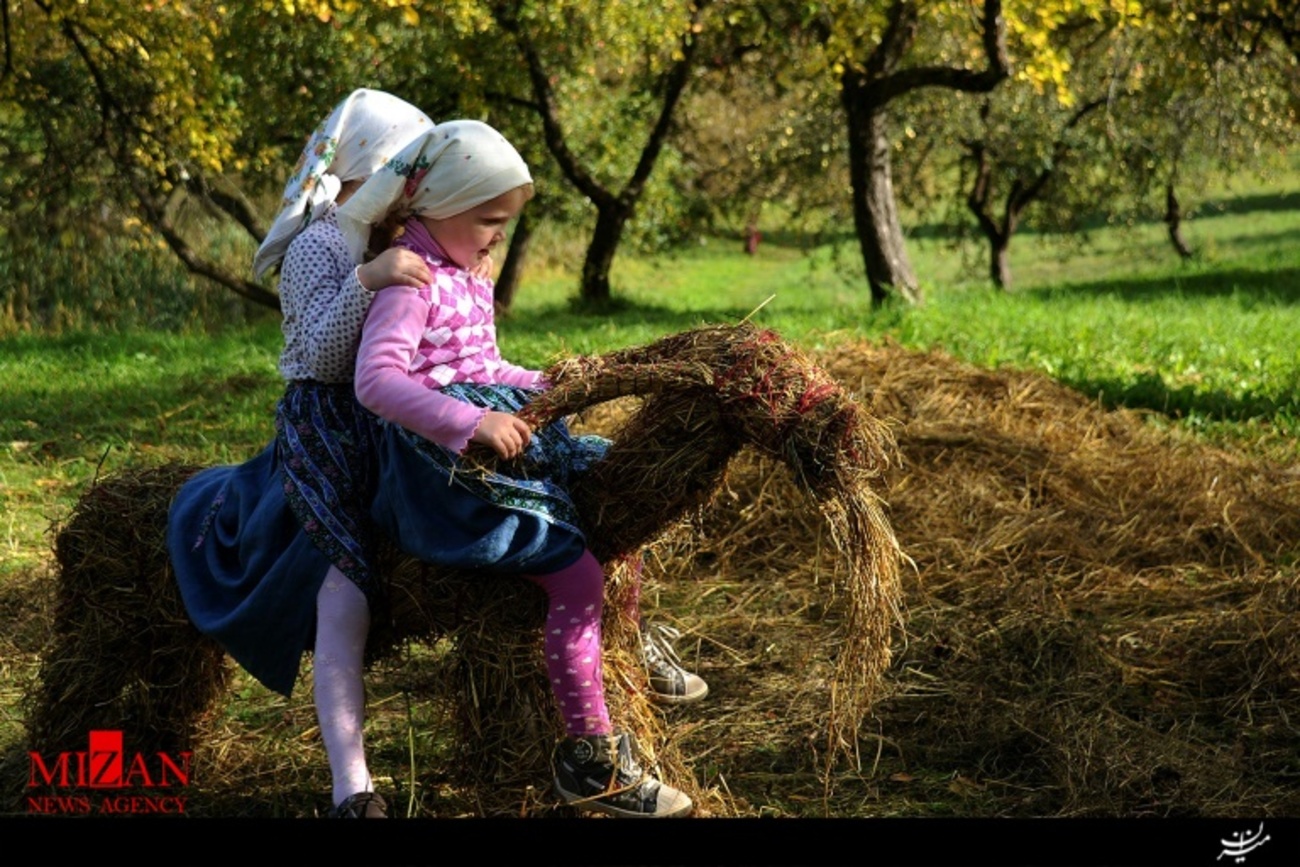 جشنواره سنتی برداشت محصول در روستایViazynka در شمال غرب مینسک در بلاروس