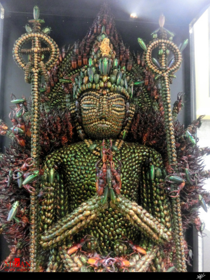 ساخت مجسمه بودا با 20هزار حشره مرده توسط یک هنرمند ژاپنی