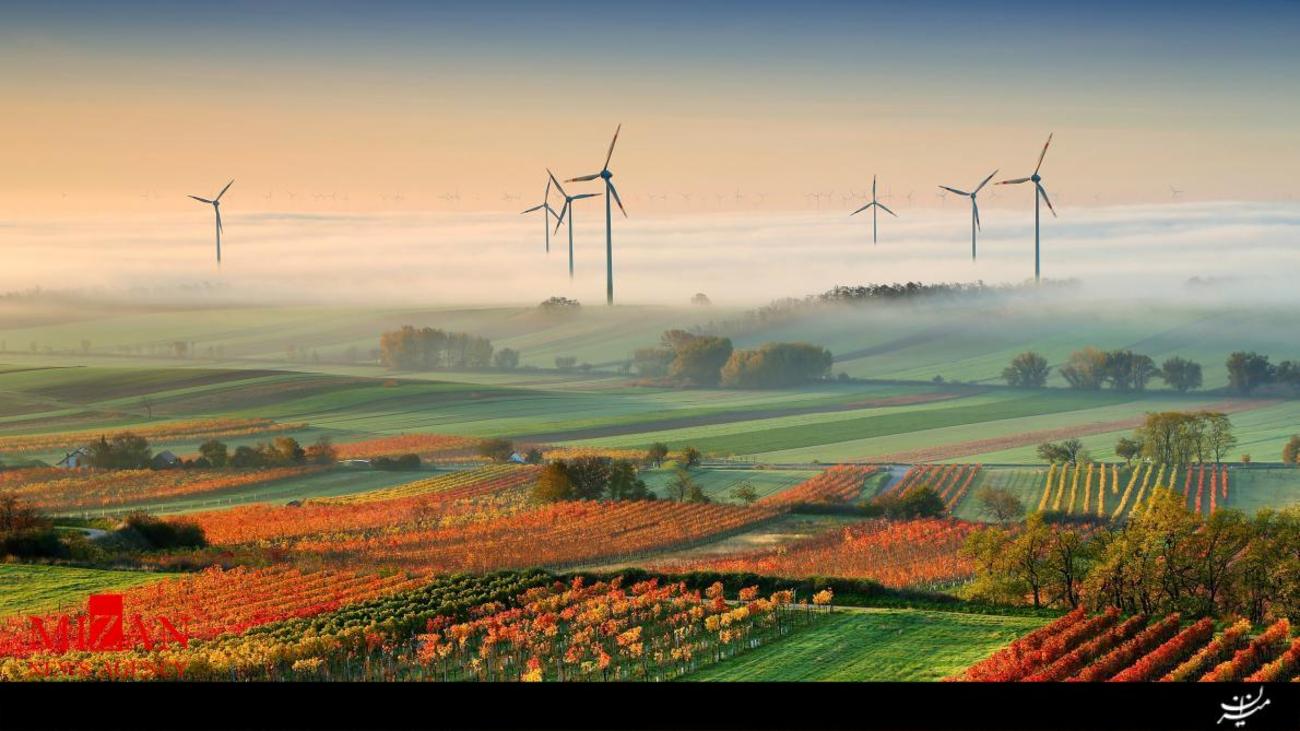 Edelstal، اتریش/آسیاب های بادی در مزرعه های بورگن لاند.