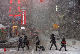 بارش برف در نیویورک