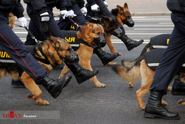رژه صدمین سالگرد تاسیس نیروهای پلیس در کشور بلاروس