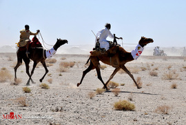 مسابقه شتر دوانی در منطقه کورین- زاهدان