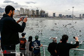 روز طبیعت در دریاچه شهدای خلیج‌فارس تهران 
