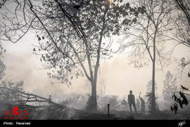آتش سوزی در اندونزی