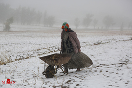 بارش اولین برف پائیزی در روستاهای اهر
