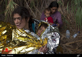 سختی های مادران مهاجر