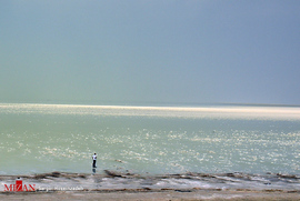 تک عکس/ مرد و دریا