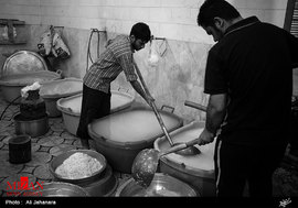 عزاداران حسینی-بوشهر-2