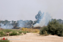 عکس خبری / آتش سوزی در تالاب هورالعظیم