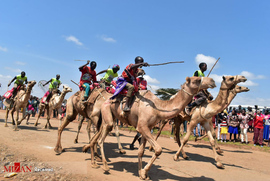 مسابقات شتر سواری در کنیا