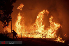 آتش سوزی جنگل های کالیفرنیا