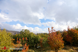 پاییز در قم 