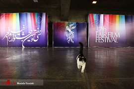 جشنواره فیلم فجر ۹۷ - روز پنجم