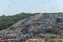 انباشت زباله در جنگل های مازندران 