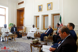 دیدار‌ نایب رئیس مجلس نیجر با ظریف