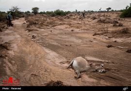 خشکسالی در سومالی