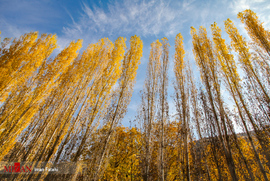 پاییز شیان - کردستان