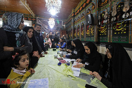 انتخابات یازدهمین دوره مجلس شورای اسلامی در استان‌ها - آمل