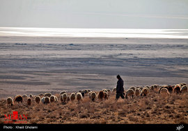 وضعیت نابسامان دریاچه ارومیه