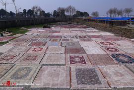 رونق قالیشویی در روزهای پایانی سال
