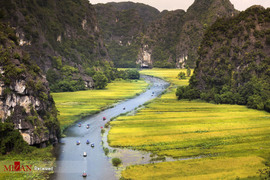 رودخانه نگو دونگ در ویتنام
