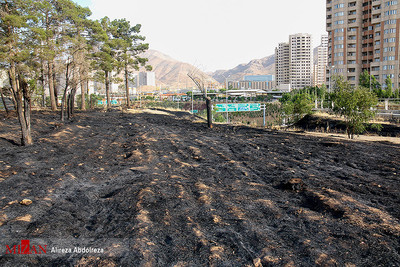 بقایای آتش سوزی شب گذشته پارک چیتگر