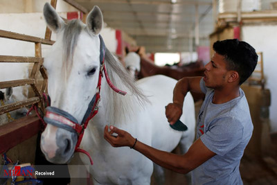از سر گرفتن مسابقات اسب دوانی در غزه
