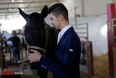 از سر گرفتن مسابقات اسب دوانی در غزه