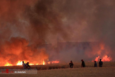 آتش سوزی مهیب مزرعه گندم در روستای نیزه در شمال شرقی شهر مشهد